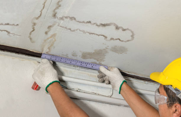 Reliable Flood Cleanup contractor in Charlotte, MI by Water Damage Irwin